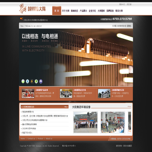 深圳大阳集团