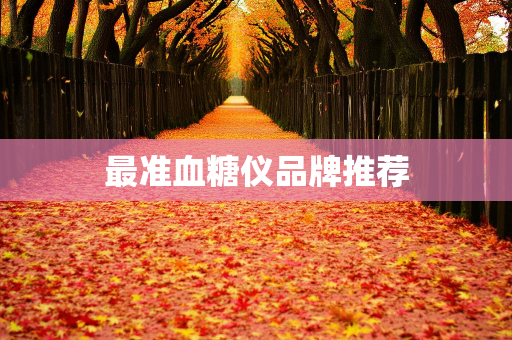 高一点网