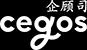 企顾司管理顾问