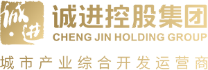 深圳市诚进控股集团有限公司