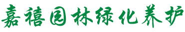 首页