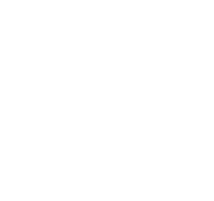 湖北力生控股集团有限公司