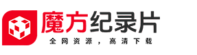 魔方纪录片