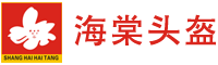 上海海棠头盔厂