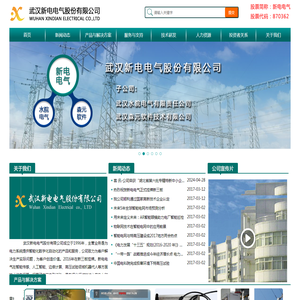 武汉新电电气股份有限公司