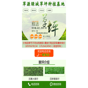 河南草坪基地