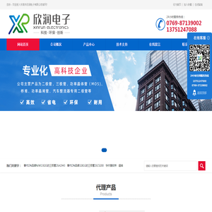 东莞市欣润电子有限公司