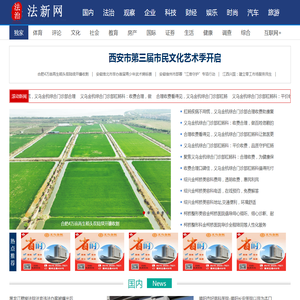 法新网