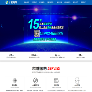 定制网站建设