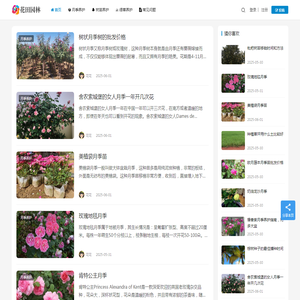 月季苗木批发基地