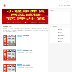 软件定制
