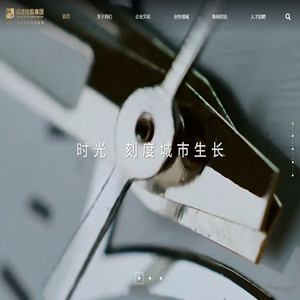 深圳市诚进控股集团有限公司